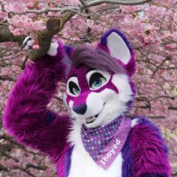 Shayed 🌸(@DoggoShayed) 's Twitter Profile Photo