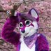Shay 🔜 FWA (@doggoshayed) Twitter profile photo Shay 🔜 FWA (@doggoshayed) Twitter profile photo