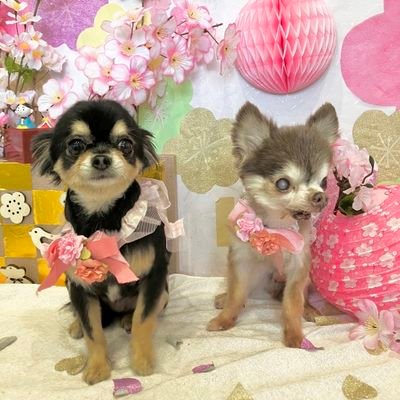 胃癌は初期内視鏡で削除子宮体癌でリンパ腺は残ってます~その他色々な病気を40年間持ってます!出合い系副業方❌娘は白血病骨髄移植して血液型が変わりました。私は抗がん剤放射線治療はしてません。4〜5回心不全無呼吸症候群私の年齢書いたら皆様ビックリします😱ただいま 人間不信に落ちてます😥