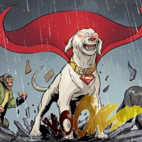 Crypto SuperDOG (@boylekera74934) 's Twitter Profile