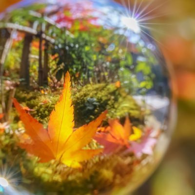 cchihiro_o's profile picture. 複雑性PTSD/双極性障害/警察保護/精神科病棟入院4回 トラウマ治療中