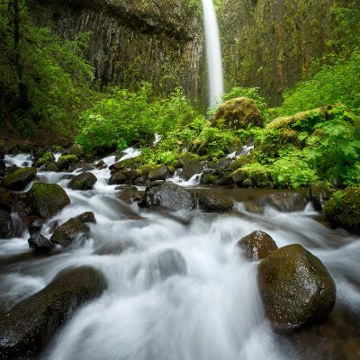 To trade successfully your mindset must be like water. And understand that in the markets, water = price.