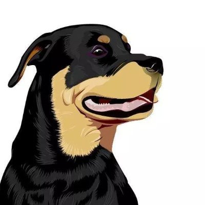 fanaichun11's profile picture. BNC学员Sahara #0287637