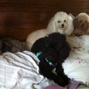 Becky Douglas - @BdouglasBecky - Twitter