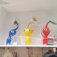 妙(たえ) (@tae8740) 's Twitter Profile Photo