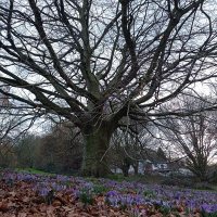 Nick Avraam (@nickavraam100) 's Twitter Profile