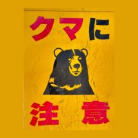 我不是你想象中的那只🐻 (@bearkumamon) 's Twitter Profile