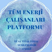 Tüm Enerji Çalışanları Platformu(@TumEnerji) 's Twitter Profile Photo