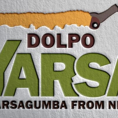 YarsaFromNepal's profile picture. नेपाल बाट भारत तथा तेस्रो मुलुकको लागि यार्सागुम्बु निर्यात गर्ने एकमात्र कम्पनी