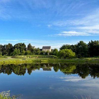 TDHopeStore1's profile picture. 