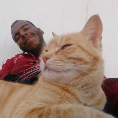 MostafaaaOmar Profile Picture