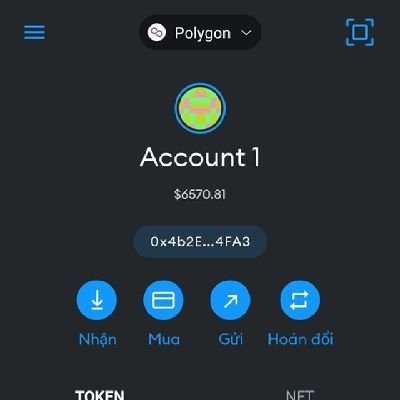 TuanAnh6303's profile picture. 