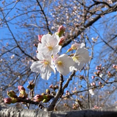 勉強垢。継続は力なり。凡事徹底。勉強中はスマホを見ない。R7 社会保険労務士事務指定講習修了。R6社労士合格。R3行政書士合格。英検1級。理系院修了。独学での法律学習の楽しさに目覚めました。JTCメーカー管理部門に勤務。司法書士試験の受験準備中。