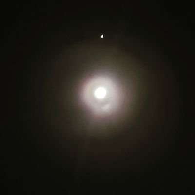 「ライブ」という“蟻地獄”にハマってしまいました。
これも、何かの縁。
どうせハマってしまったのならば、行き着くところまで、行ってみましょうか。
※毒を食らわばサラダで(違う)