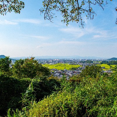 ipafess's profile picture. 