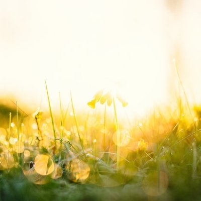 okzbuff's profile picture. follow back💯💯💯