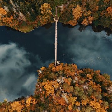 arrbuff's profile picture. fo💯