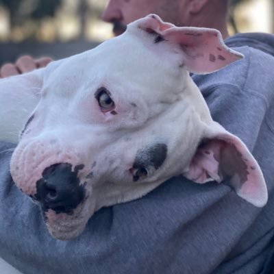 BrujaBruja71's profile picture. United States Navy Veteran 🇺🇸