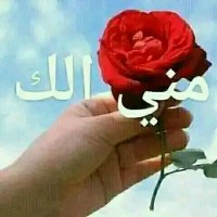 بسام ابن الملوك ،إب (@bsmh843853) Twitter profile photo
