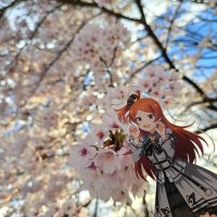 りおん@取引垢 (@rion06) 's Twitter Profile