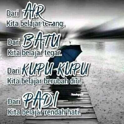 SyafriAfi2's profile picture. sersan santai tapi serius