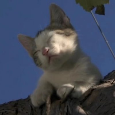 1126502397's profile picture. HashNeuro founder 祉猷并茂   //在亚美尼亚传统中，有一只神秘的鸟，它的歌声能够治愈世界，带来和平与重生，传说中的王子为找到这只千声鸟，出发了就没有回头路，他必须穿越无尽的沙漠，寒冷的山地冬季，汹涌的河流，并在谴责、背叛和40头恶魔的追赶下前行。这个故事告诉人，希望改变世界，每个人都需要先改变自己。