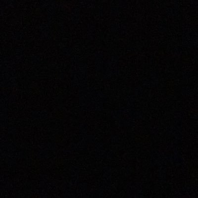 tulayakova_'s profile picture. architect