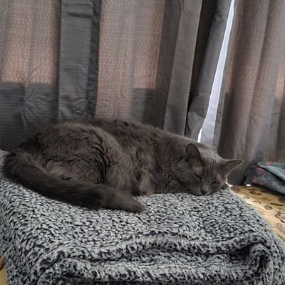 Buckeyeinfla1's profile picture. 