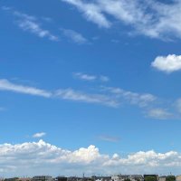 あ (@iodyabfoxym755q) 's Twitter Profile