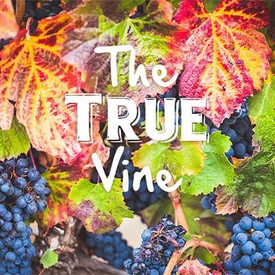 True Vine Ministries