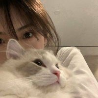 lunaa (@luluneeta) 's Twitter Profile Photo
