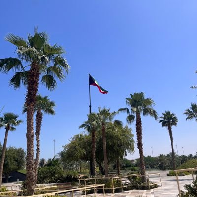 martin7422's profile picture. 