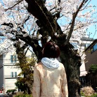 ふぉとベル君🔔写真アカ📸 (@beru33photo) Twitter profile photo