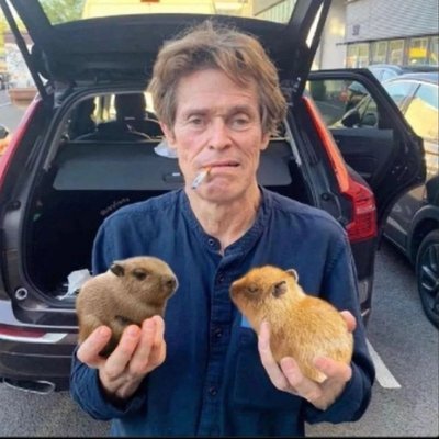 teruelex71's profile picture. Eyyyy yoooow