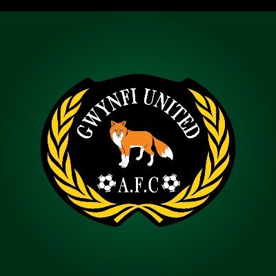 NEW Official page of Gwynfi United FC. Playing in the Port Talbot League.  Port Talbot and District Football League Open Cup Winners 21/22 💚⚽