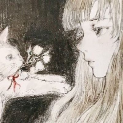 hanako | shtwt🇮🇱さんのプロフィール画像