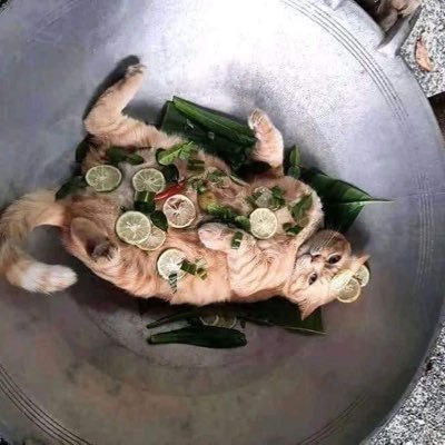 Plongwa2o's profile picture. ไม่มี