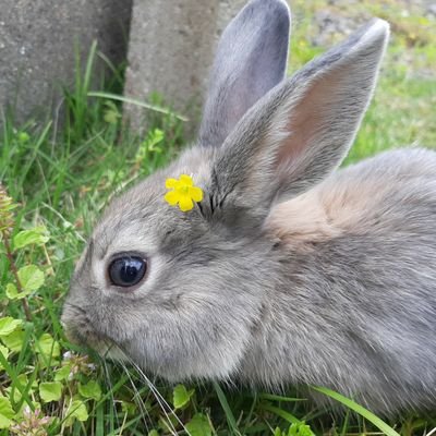 pekoaho's profile picture. アウトドア好き🏞️、動物好き🐰、お料理好き🍳、飛行機好き✈️、戦闘機好き、ものづくり好き🪚、カメラ好き📷、旅行好き🧳、お酒好き🍻、山好き⛰️、トレッキング好き🌄、ジブリ好き🌽

💕好きなものを好きなだけ💕