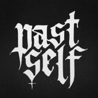 past self (@pastselfdotexe) 's Twitter Profile