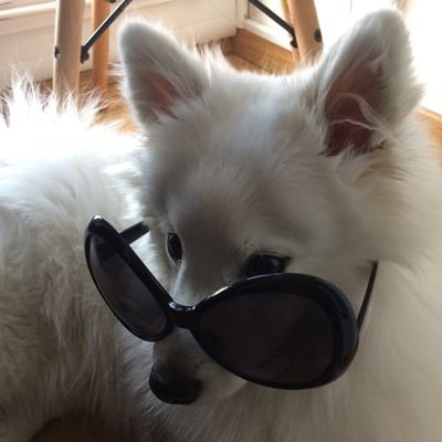 NerfWidowSoon's profile picture. Veve Collector
#Ukraine
#ViteMadose
#LGBTscientist