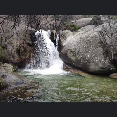 cglrcndr's profile picture. 