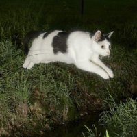 nice girl (@moshfegh_mutual) 's Twitter Profile