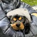 CC (@cooneygmail) Twitter profile photo CC (@cooneygmail) Twitter profile photo