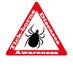 Tick-Borne Diseases Awareness (@TBDAwareness) Twitter profile photo