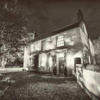 The Elm Tree (@theelm_tree) 's Twitter Profile