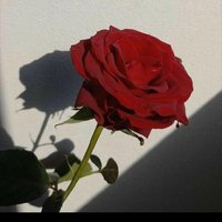 bir_fâtih (@birfaatih1) Twitter profile photo