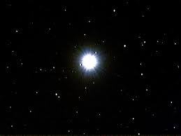 tantra_the_dobe's profile picture. see the stars they're shining bright, everything is alright tonight !!!
