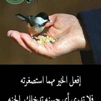 وإذا دعتك قدرتك على ظلم الناس فلا تنسى قدرة الله عليك 🏵️