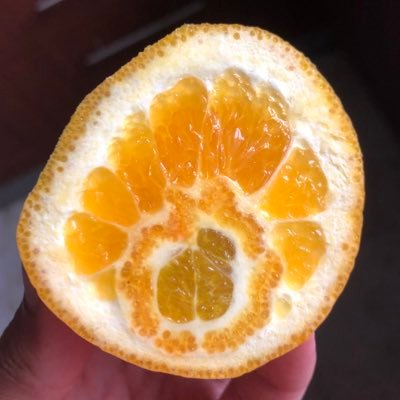 juanpizrva's profile picture. 