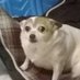 The Meme Giver (@thememegiver21) Twitter profile photo The Meme Giver (@thememegiver21) Twitter profile photo
